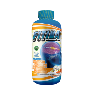 Fitina