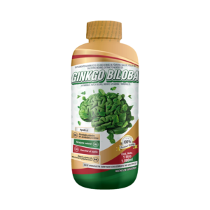 Ginkgo Biloba