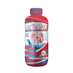 Riñomon